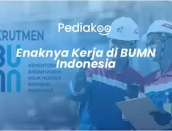 Enaknya Kerja di BUMN Indonesia